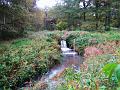 Herfstwandeling op 20-10-2013 (16)